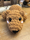 Bear Plush